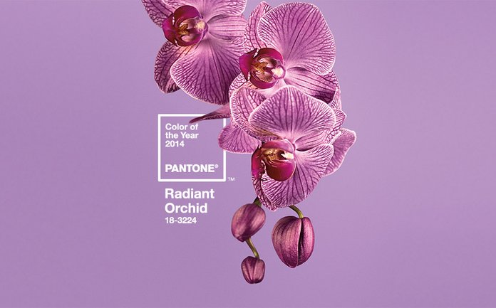 Radiant Orchid Pantone Color Institute Colori Tonalità Anno 2014