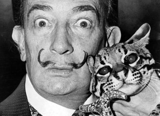 Gli artisti e i loro gatti, un libro racconta le “strane coppie”