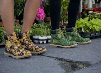 Bee Line per Timberland in edizione super limitata Bee Line x Timberland Billionarie Boys Club Collaborazione Europa