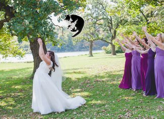 Brides Throwing Cats, volano gatti al posto di bouquet Brides Throwing Cats Tumblr Spose Matrimonio Lancio Gatti Bouquet Damigelle