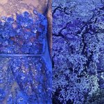 Liliya Hudyakova Incontro Arte Moda Abiti Vestiti Stilisti Paesaggi Natura (2)