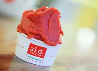 100% gelati naturali con una lavorazione ad azoto liquido gelati-naturali-Aldmangiami-Coppetta-lampone