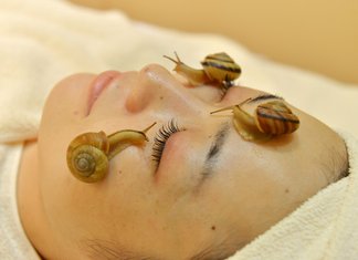 Bellezza : maschera a base di bava di lumaca