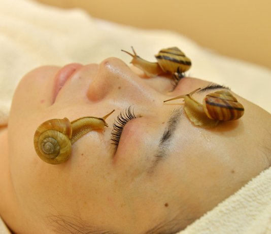Bellezza : maschera a base di bava di lumaca